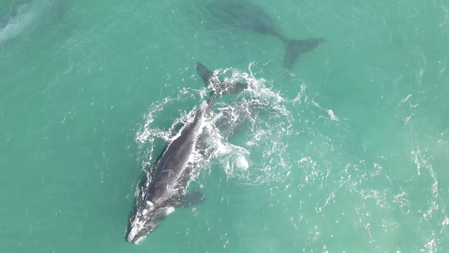 Private Wellness Centre