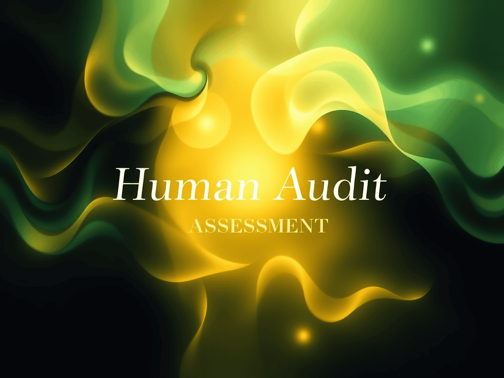 Human Audit Assessment