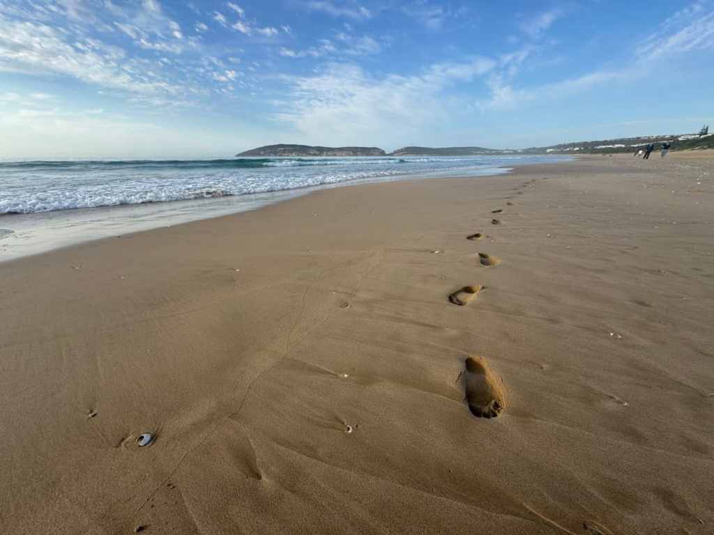 Beyond Rehab: The Paradigm Shift